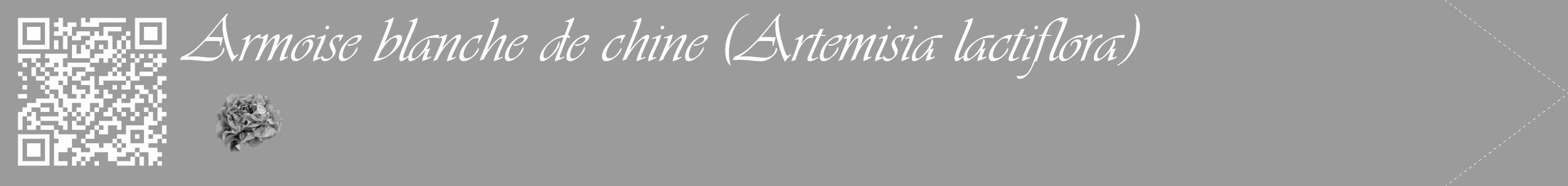 Étiquette de : Artemisia lactiflora - format c - style blanche52_simple_simpleviv avec qrcode et comestibilité simplifiée