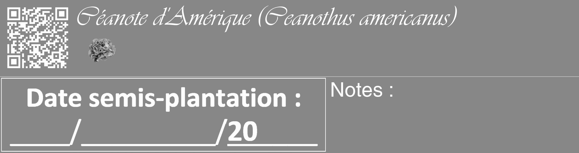 Étiquette de : Ceanothus americanus - format c - style blanche12_basique_basiqueviv avec qrcode et comestibilité simplifiée