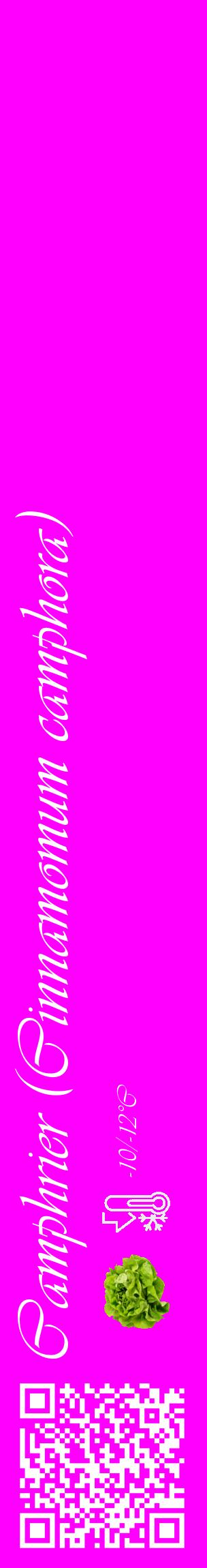 Étiquette de : Cinnamomum camphora - format c - style blanche51_basique_basiqueviv avec qrcode et comestibilité simplifiée - position verticale