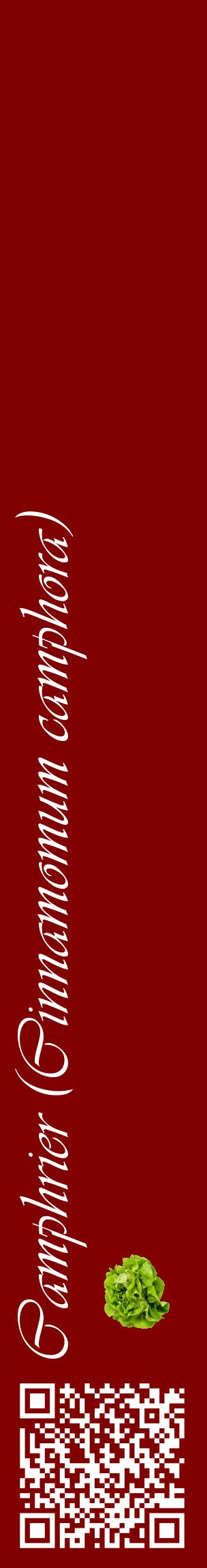 Étiquette de : Cinnamomum camphora - format c - style blanche29_basiqueviv avec qrcode et comestibilité simplifiée