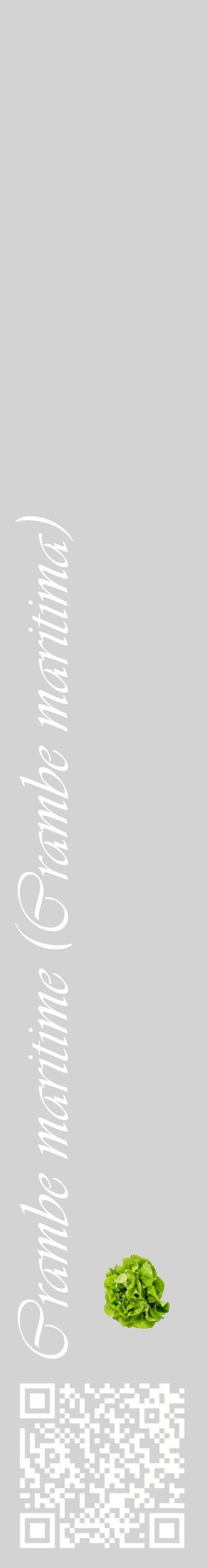 Étiquette de : Crambe maritima - format c - style blanche56_basiqueviv avec qrcode et comestibilité simplifiée