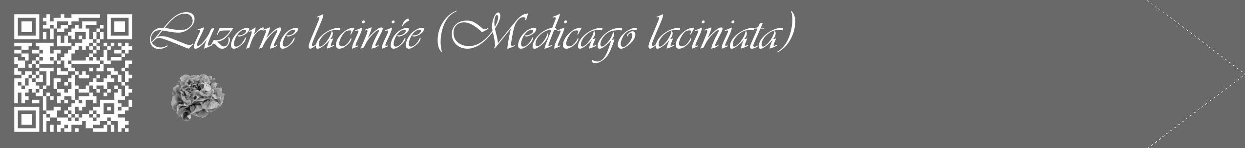 Étiquette de : Medicago laciniata - format c - style blanche51_simple_simpleviv avec qrcode et comestibilité simplifiée
