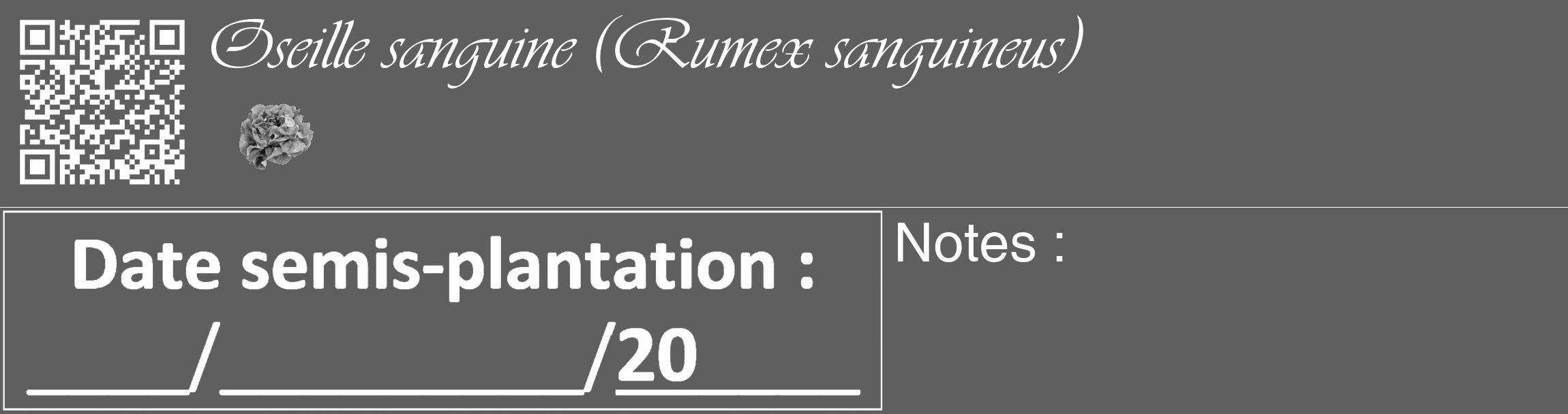 Étiquette de : Rumex sanguineus - format c - style blanche10_basique_basiqueviv avec qrcode et comestibilité simplifiée