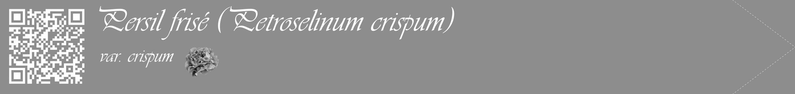 Étiquette de : Petroselinum crispum var. crispum - format c - style blanche2_simple_simpleviv avec qrcode et comestibilité simplifiée