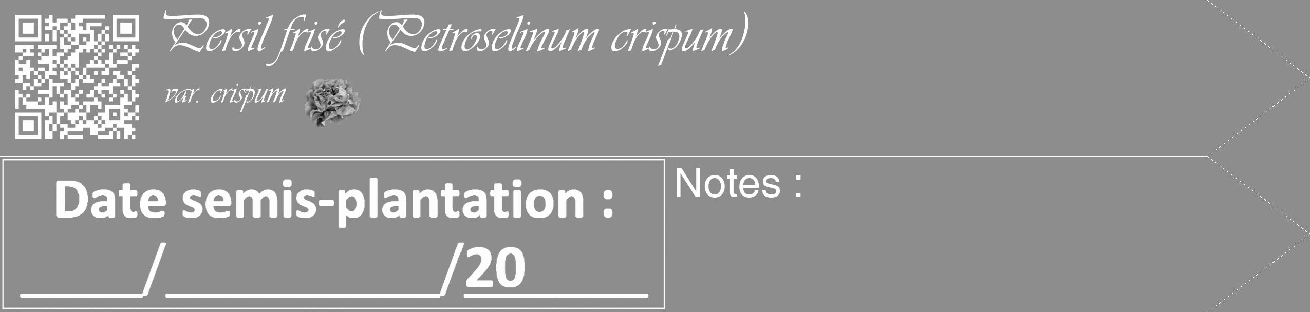 Étiquette de : Petroselinum crispum var. crispum - format c - style blanche2_simple_simpleviv avec qrcode et comestibilité simplifiée
