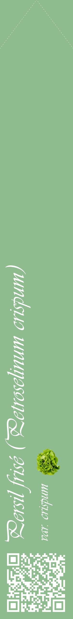 Étiquette de : Petroselinum crispum var. crispum - format c - style blanche13_simpleviv avec qrcode et comestibilité simplifiée