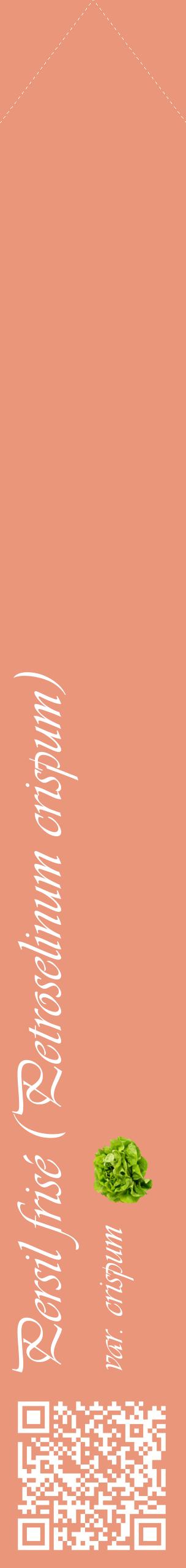 Étiquette de : Petroselinum crispum var. crispum - format c - style blanche37_simpleviv avec qrcode et comestibilité simplifiée