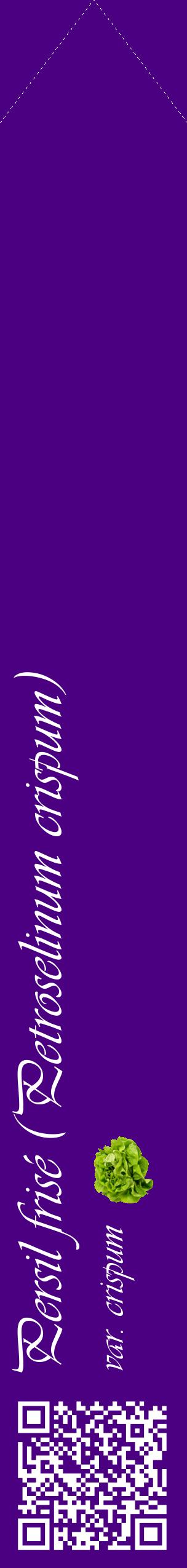 Étiquette de : Petroselinum crispum var. crispum - format c - style blanche47_simpleviv avec qrcode et comestibilité simplifiée