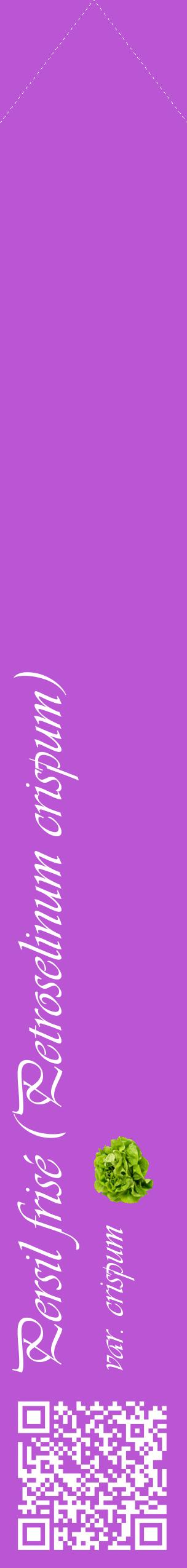 Étiquette de : Petroselinum crispum var. crispum - format c - style blanche50_simpleviv avec qrcode et comestibilité simplifiée