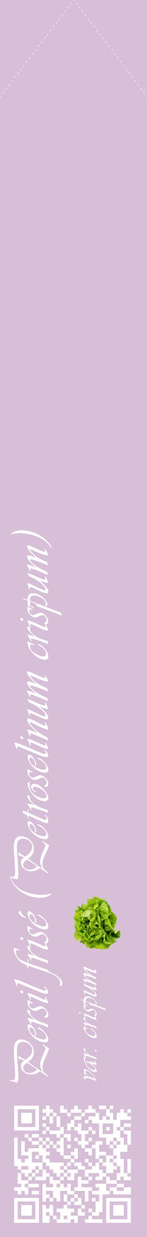 Étiquette de : Petroselinum crispum var. crispum - format c - style blanche54_simpleviv avec qrcode et comestibilité simplifiée