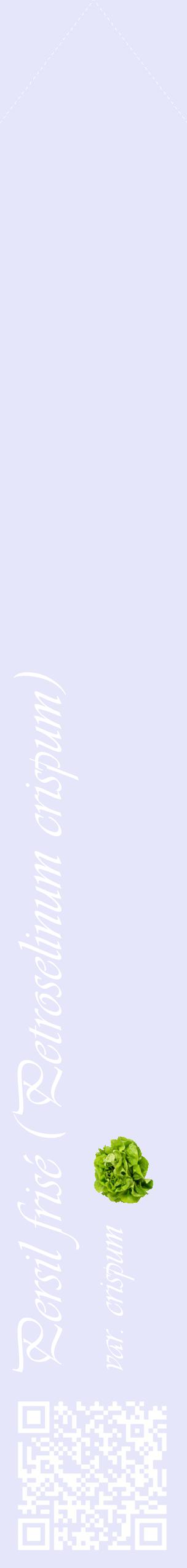 Étiquette de : Petroselinum crispum var. crispum - format c - style blanche55_simpleviv avec qrcode et comestibilité simplifiée