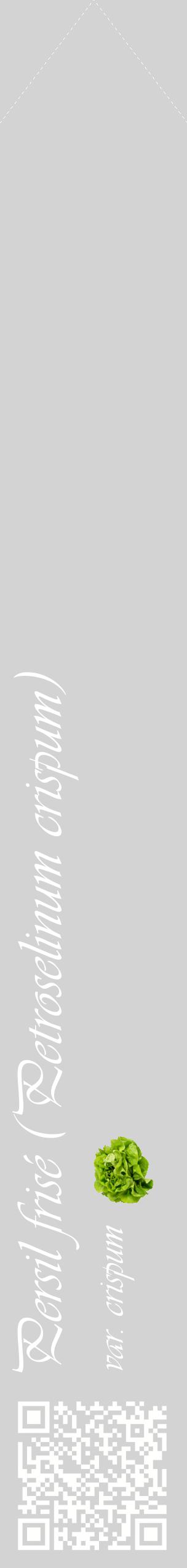 Étiquette de : Petroselinum crispum var. crispum - format c - style blanche56_simpleviv avec qrcode et comestibilité simplifiée