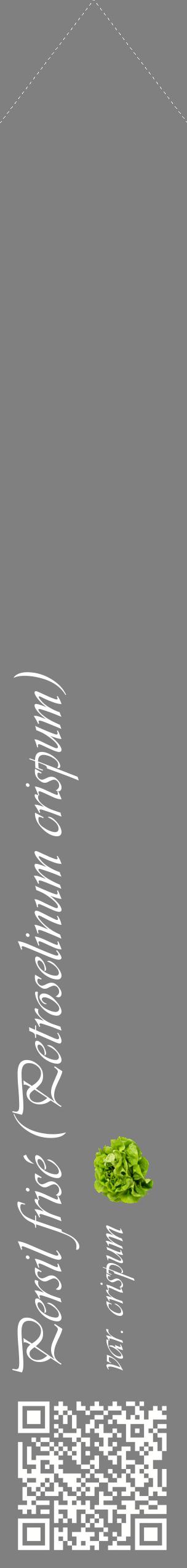 Étiquette de : Petroselinum crispum var. crispum - format c - style blanche57_simpleviv avec qrcode et comestibilité simplifiée
