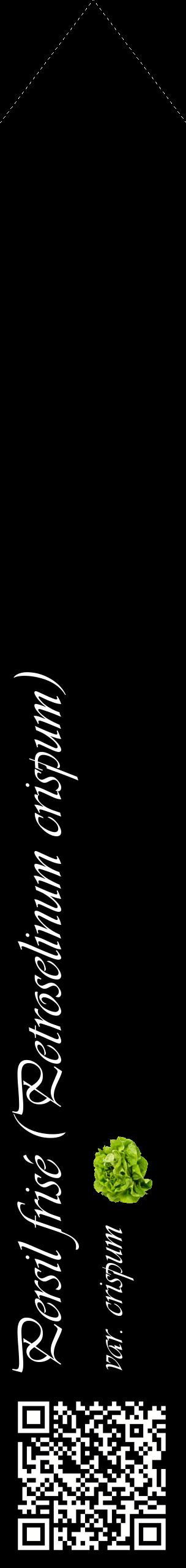 Étiquette de : Petroselinum crispum var. crispum - format c - style blanche59_simpleviv avec qrcode et comestibilité simplifiée