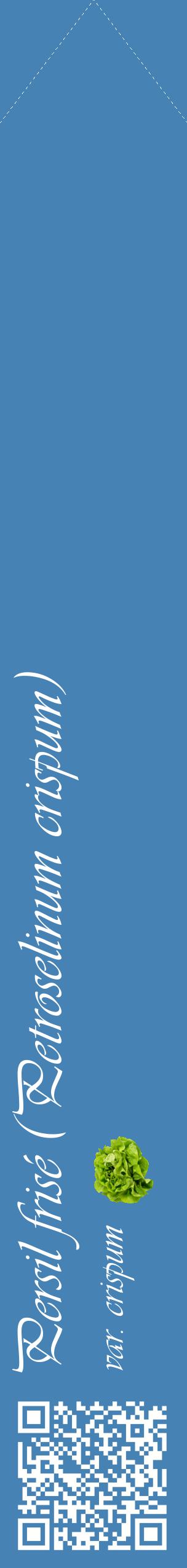 Étiquette de : Petroselinum crispum var. crispum - format c - style blanche5_simpleviv avec qrcode et comestibilité simplifiée