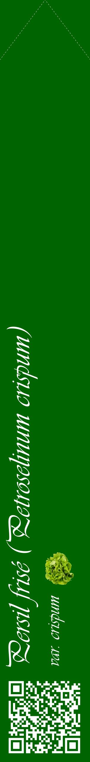 Étiquette de : Petroselinum crispum var. crispum - format c - style blanche8_simpleviv avec qrcode et comestibilité simplifiée