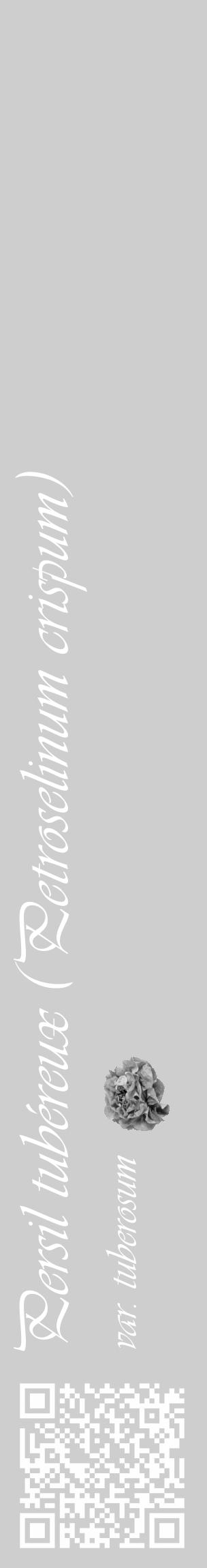 Étiquette de : Petroselinum crispum var. tuberosum - format c - style blanche17_basique_basiqueviv avec qrcode et comestibilité simplifiée - position verticale