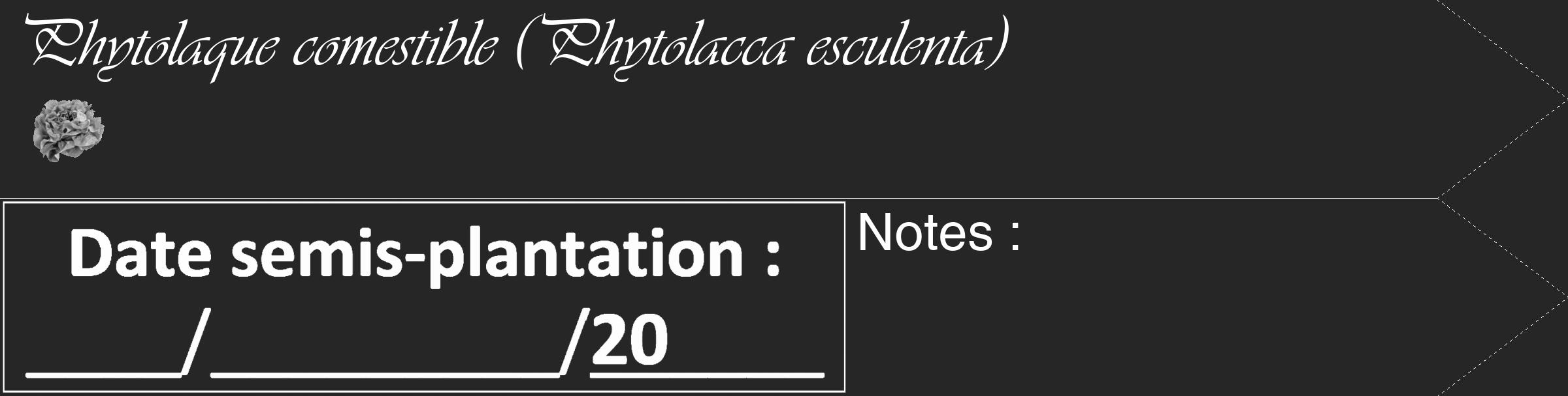 Étiquette de : Phytolacca esculenta - format c - style blanche29_simple_simpleviv avec comestibilité simplifiée
