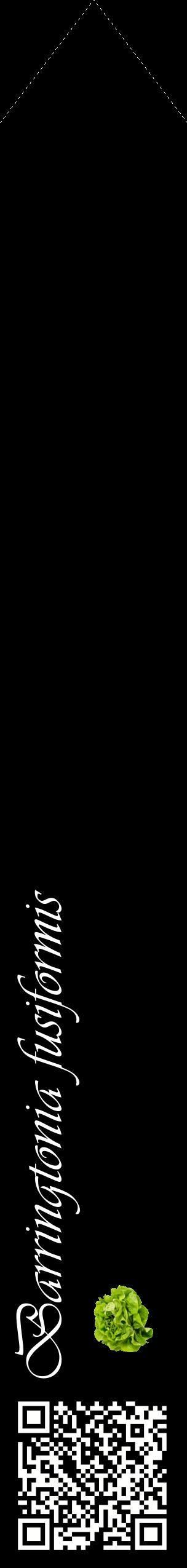 Étiquette de : Barringtonia fusiformis - format c - style blanche59_simpleviv avec qrcode et comestibilité simplifiée
