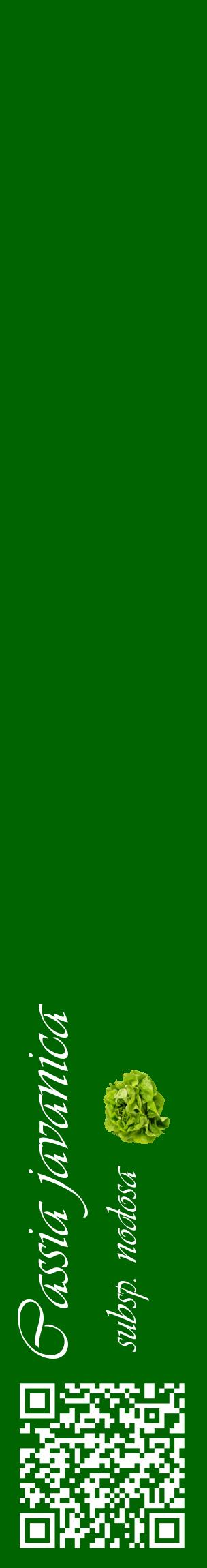 Étiquette de : Cassia javanica subsp. nodosa - format c - style blanche8_basiqueviv avec qrcode et comestibilité simplifiée