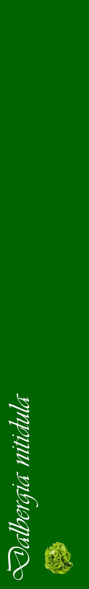 Étiquette de : Dalbergia nitidula - format c - style blanche8_basiqueviv avec comestibilité simplifiée