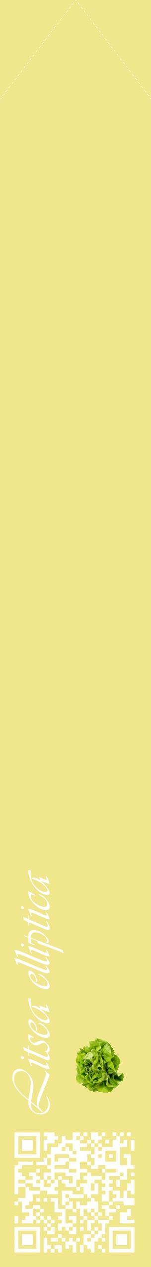Étiquette de : Litsea elliptica - format c - style blanche20_simpleviv avec qrcode et comestibilité simplifiée