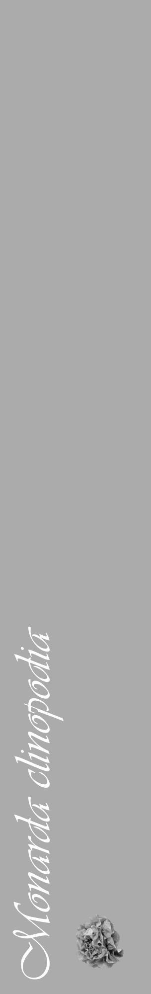 Étiquette de : Monarda clinopodia - format c - style blanche37_basique_basiqueviv avec comestibilité simplifiée - position verticale