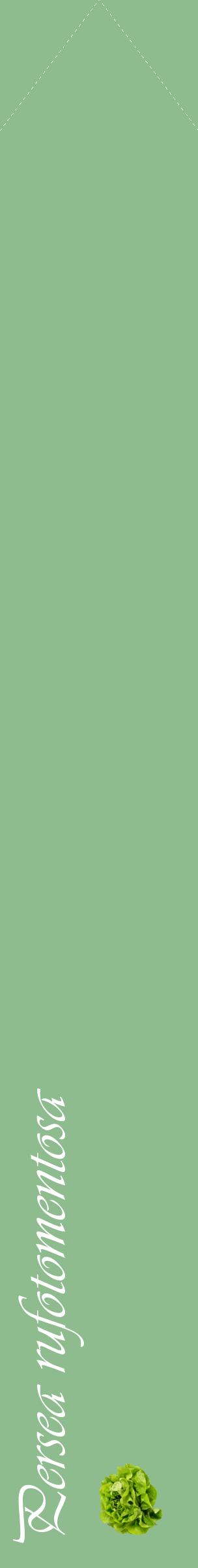 Étiquette de : Persea rufotomentosa - format c - style blanche13_simpleviv avec comestibilité simplifiée