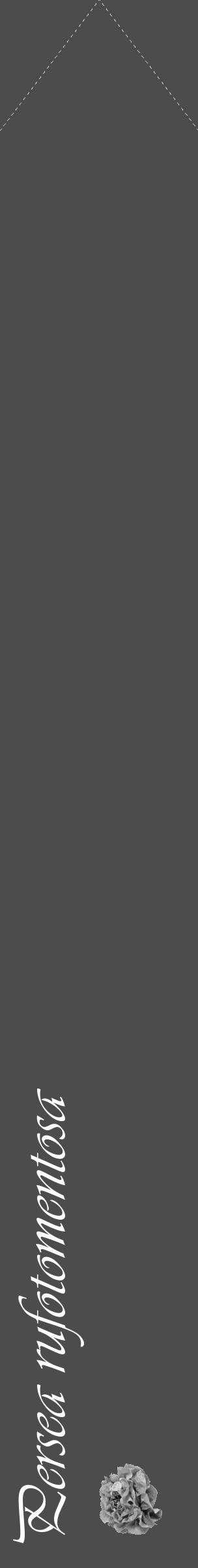 Étiquette de : Persea rufotomentosa - format c - style blanche27_simple_simpleviv avec comestibilité simplifiée - position verticale