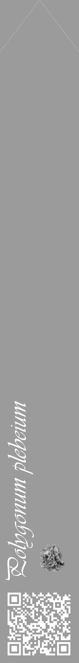 Étiquette de : Polygonum plebeium - format c - style blanche52_simple_simpleviv avec qrcode et comestibilité simplifiée - position verticale