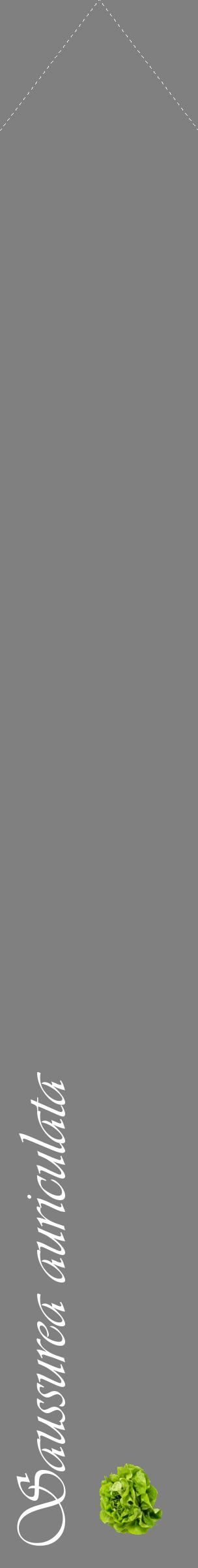Étiquette de : Saussurea auriculata - format c - style blanche57_simpleviv avec comestibilité simplifiée