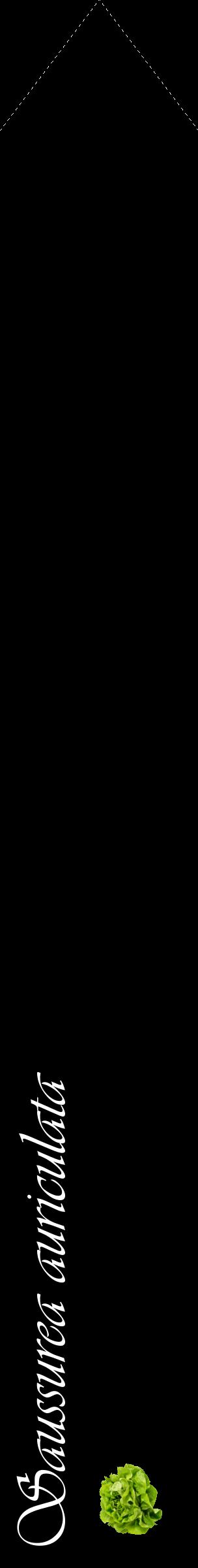 Étiquette de : Saussurea auriculata - format c - style blanche59_simpleviv avec comestibilité simplifiée