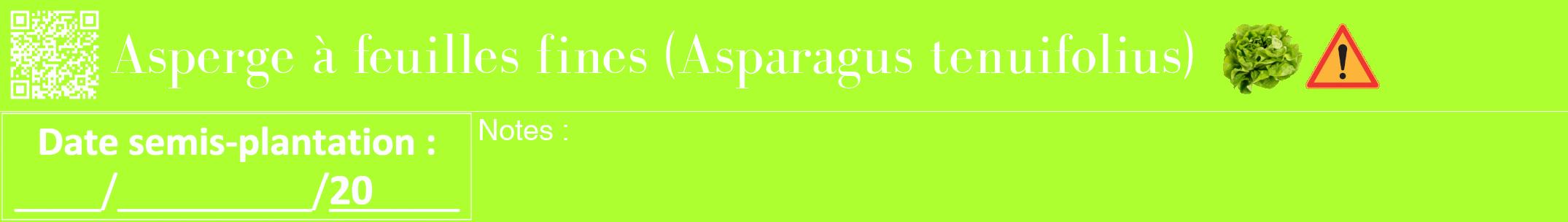 Étiquette de : Asparagus tenuifolius - format a - style blanche17bod avec qrcode et comestibilité simplifiée