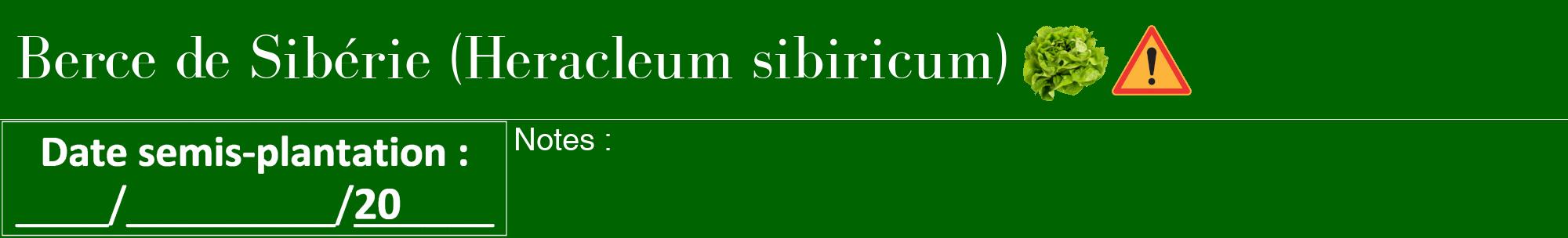 Étiquette de : Heracleum sibiricum - format a - style blanche8bod avec comestibilité simplifiée