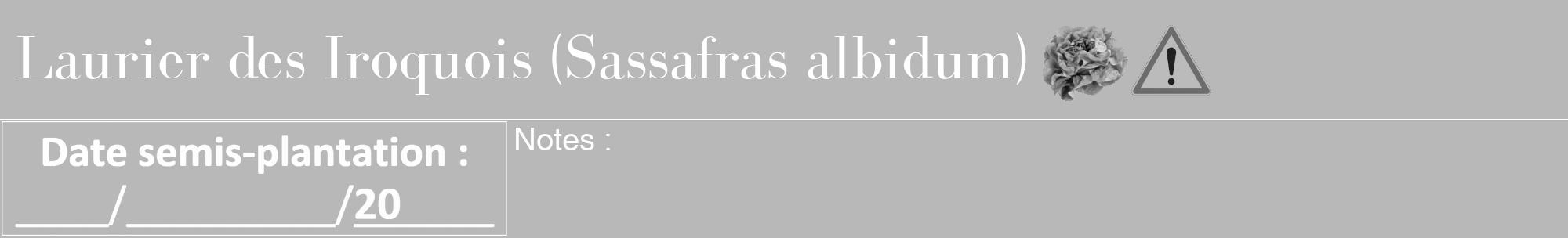 Étiquette de : Sassafras albidum - format a - style blanche39bod avec comestibilité simplifiée