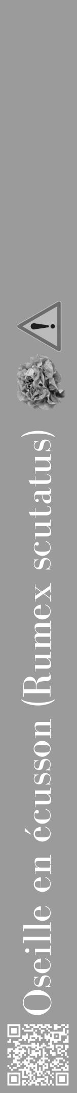 Étiquette de : Rumex scutatus - format a - style blanche52bod avec qrcode et comestibilité simplifiée - position verticale