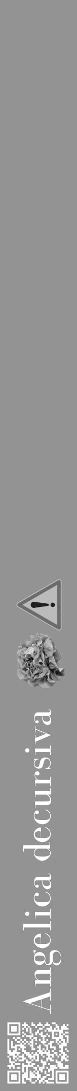 Étiquette de : Angelica decursiva - format a - style blanche44bod avec qrcode et comestibilité simplifiée - position verticale