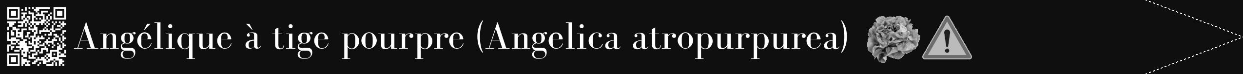 Étiquette de : Angelica atropurpurea - format b - style blanche7simplebod avec qrcode et comestibilité simplifiée