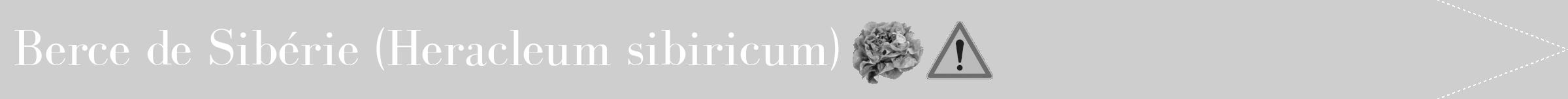 Étiquette de : Heracleum sibiricum - format b - style blanche17bod avec comestibilité simplifiée