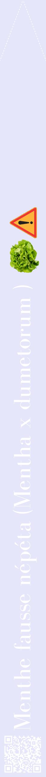Étiquette de : Mentha x dumetorum  - format b - style blanche55bod avec qrcode et comestibilité simplifiée