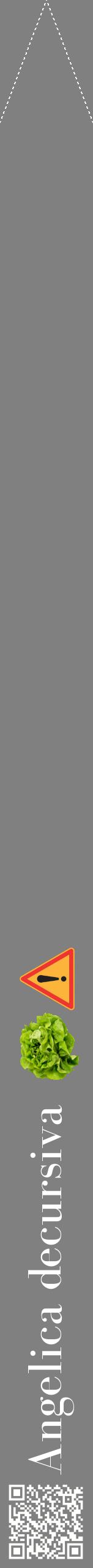Étiquette de : Angelica decursiva - format b - style blanche57bod avec qrcode et comestibilité simplifiée