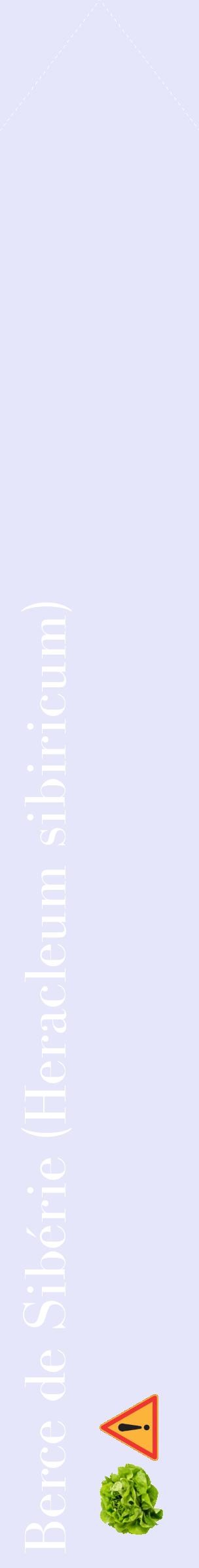 Étiquette de : Heracleum sibiricum - format c - style blanche55_simplebod avec comestibilité simplifiée