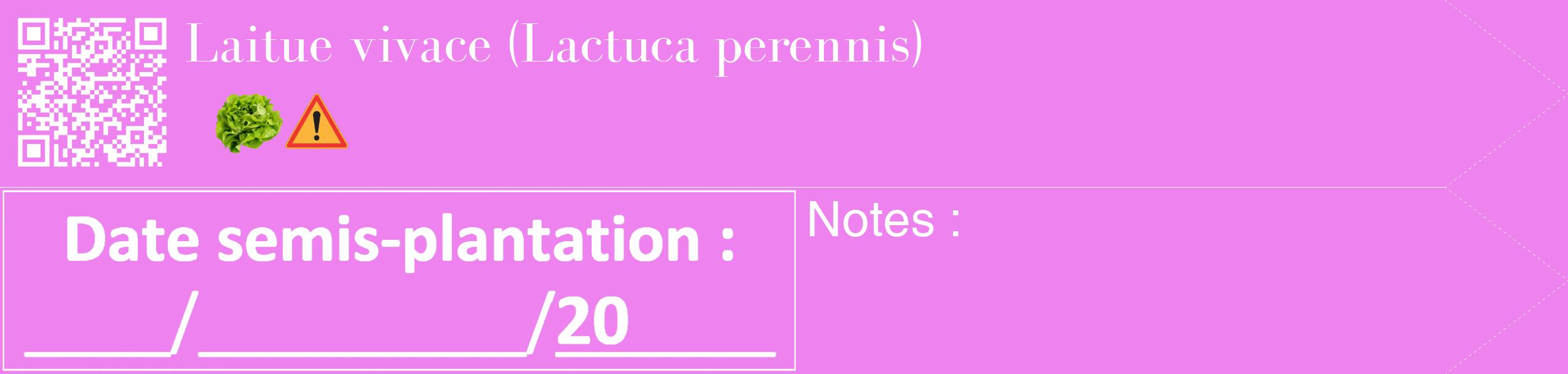 Étiquette de : Lactuca perennis - format c - style blanche53_simple_simplebod avec qrcode et comestibilité simplifiée