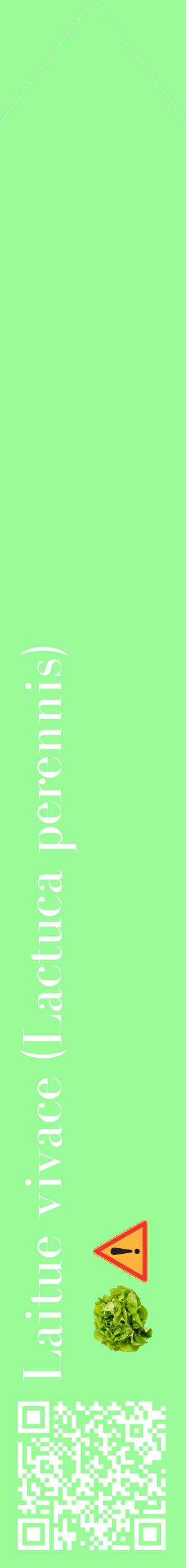 Étiquette de : Lactuca perennis - format c - style blanche14_simplebod avec qrcode et comestibilité simplifiée