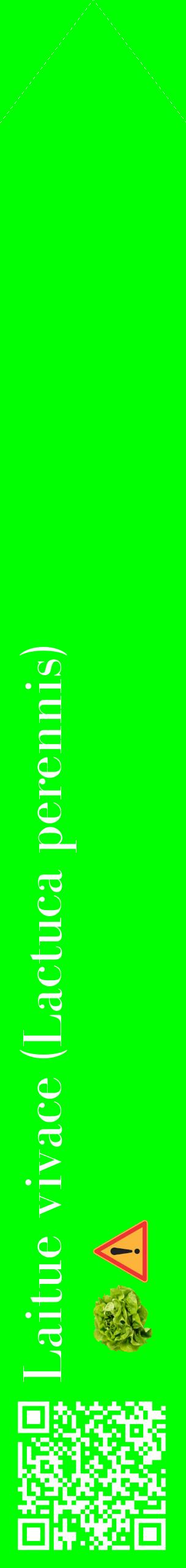 Étiquette de : Lactuca perennis - format c - style blanche16_simplebod avec qrcode et comestibilité simplifiée