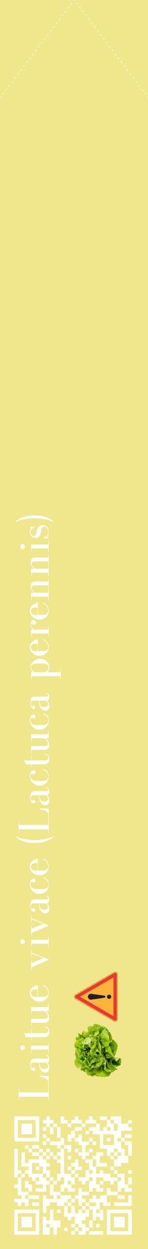 Étiquette de : Lactuca perennis - format c - style blanche20_simplebod avec qrcode et comestibilité simplifiée