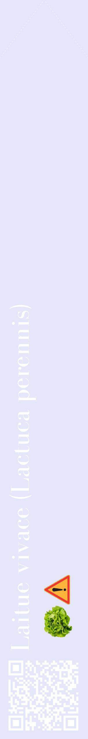 Étiquette de : Lactuca perennis - format c - style blanche55_simplebod avec qrcode et comestibilité simplifiée