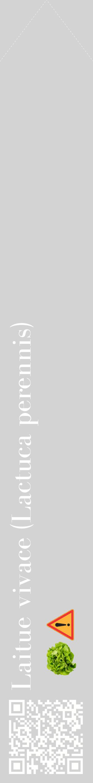 Étiquette de : Lactuca perennis - format c - style blanche56_simplebod avec qrcode et comestibilité simplifiée