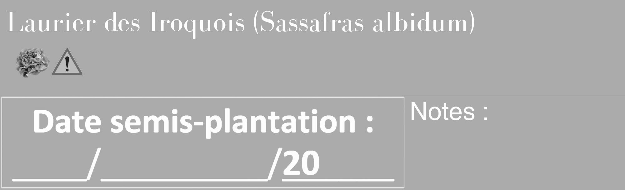 Étiquette de : Sassafras albidum - format c - style blanche37_basique_basiquebod avec comestibilité simplifiée
