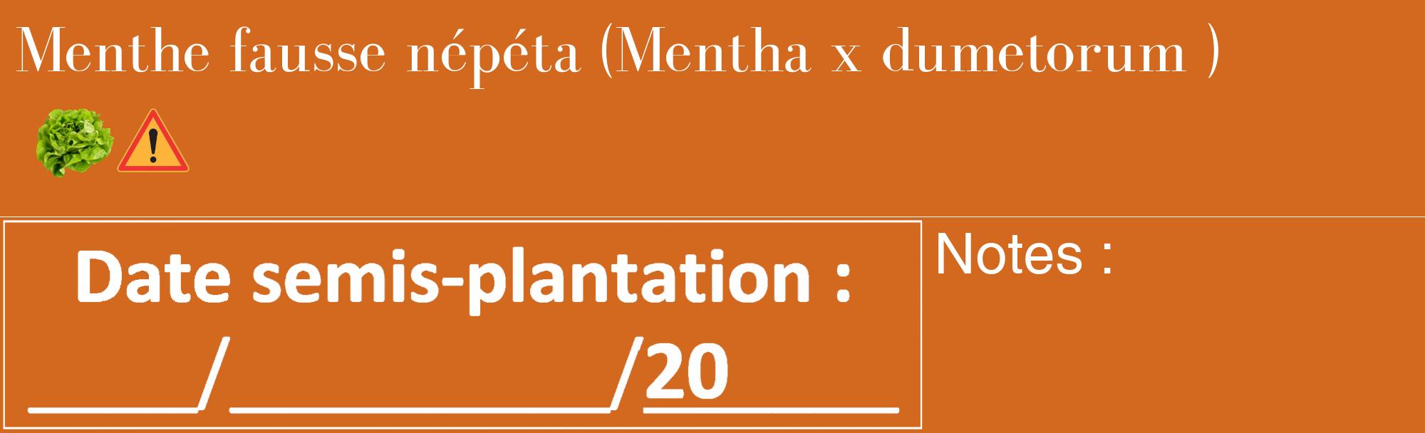 Étiquette de : Mentha x dumetorum  - format c - style blanche31_basique_basiquebod avec comestibilité simplifiée